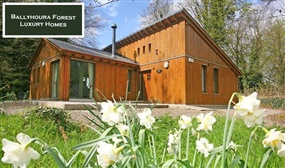 2, 3, 4 or 7 Nights Luxury Self-Catering for up to 6 at Ballyhoura Forest Luxury Homes, Limerick